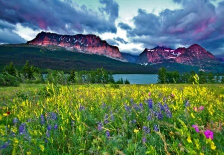 Mountain meadow - summer, beautiful, grass, fresh, field, floral, nature, mountain, meadow, pretty, flowers, shore, lake, sky, peaks, freshness, nice, clouds, slopes, lovely, green