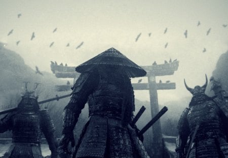 samurai - body armour, helmet, spear, hat, swords, cliffs, birds