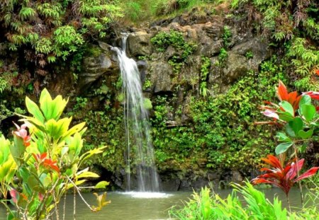 Hawaiian waterfall - nice, water, greenery, waterfall, rocks, fall, emerald, green, grass, falling, summer, place, lovely, exotic, nature, romantic, beautiful, flowers, hawaiian