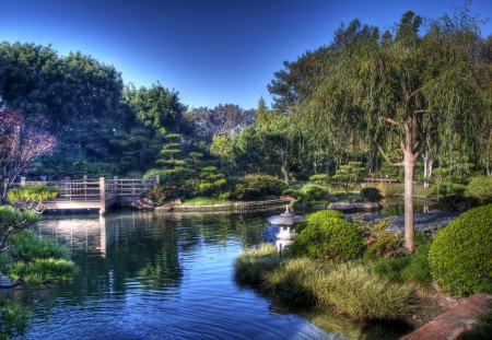 Days in the park - lake, trees, landscape, water, path, nature, petals, green, flowers, grass