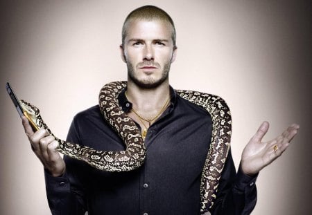 David Beckham - animal, footballer, model, phone, sexy, david beckham, snake, man