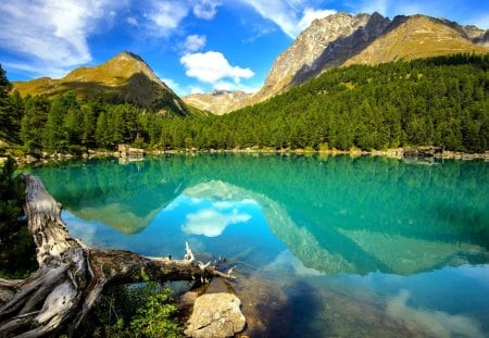 SILENT  LAKE - lake, forest, landscape, mountain