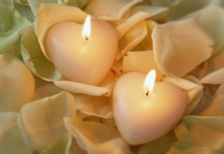 TWO HEARTS AGLOW - hearts, simplicity, roses, flames, petals, candles, romance