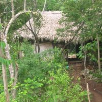 Mayan Village
