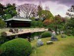 The Seiryuen Garden of Nijo Castle