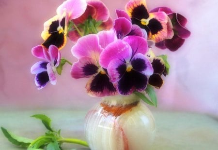 Violets in vase - nice, delicate, room, colorful, leaf, lovely, still life, pretty, beautiful, table, leaves, colors, violets, flowers, harmony