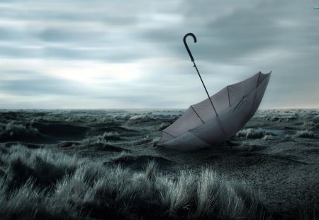 umbrella-in-the-field - water, sky, land, wind