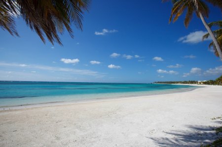 Bavaro Punta Cana - beach, paradise, ocean, sand, sky