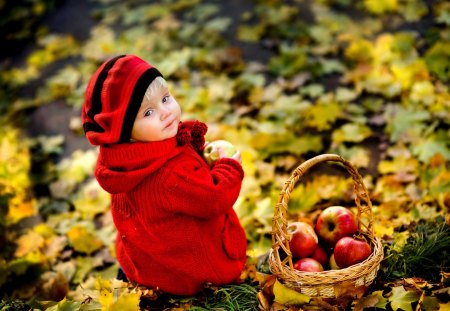 APPLE HARVEST - autumn, baby, park, leaves, basket, look, apples