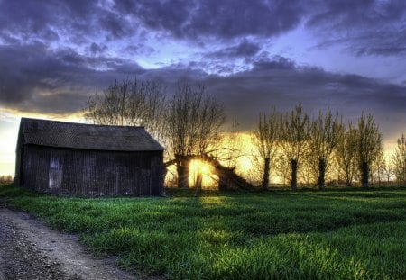 Beautiful Sunset - splendor, landscape, grass, sunrays, path, view, pathway, houses, cottage, sky, sun, clouds, house, sunlight, trees, beautiful, road, beauty, colors, lovely, tree, nature, sunset, country road, rays, green, peaceful