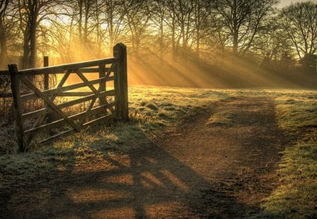 Sunset - beautiful, evening, forest, path, sunset, nature, autumn, nice, september