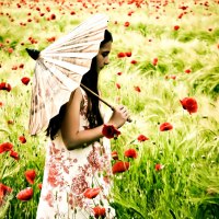 Poppies Field