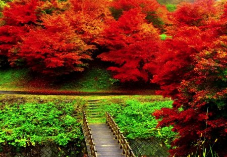 AUTUMN PARK - stairway, trees, park, autumn