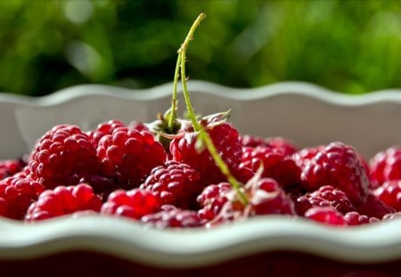 Raspberries - summer, delicious, harvest, berry, tasty, raspberries, berries, bowl, red, raspberry, fruit, fruits