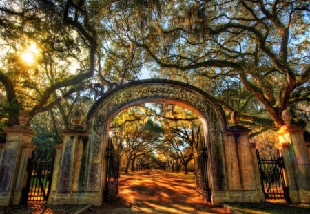 Path into Park - entry, trees, bow, sun