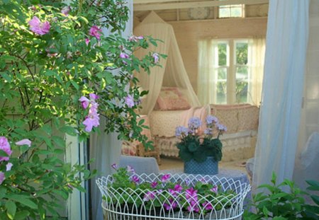 view from garden - flowers, house, garden, plants