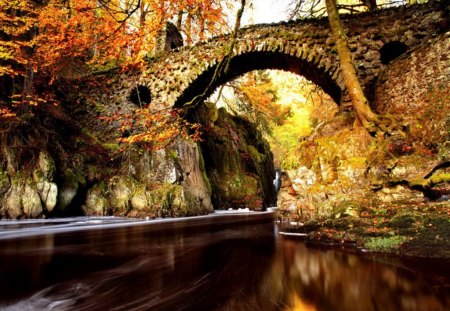 Hermitage bridge - nice, autumn, trees, riverbank, stream, hermitage, creek, calm, reflection, river, bridge, stone, park, shore, lovely, nature, forest, beautiful, leaves