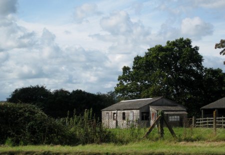 ABANDONED COTTAGE - fields, houses, trees, united kingdom, countryside, forgotten, fences, cottages, grass