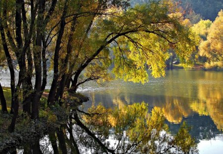 Lake reflections - reflections, house, water, pond, beautiful, lovely, leaves, tree, lakeshore, shore, nature, autumn, clear, lake, nice