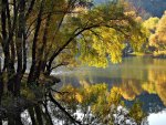 Lake reflections