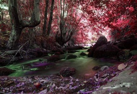 Natures Beauty - leaves, purple, red, river