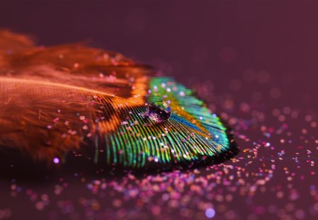 Featherlight - drops, feather, featherlight, water