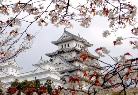 castle - beauty, architecture, castle, medieval