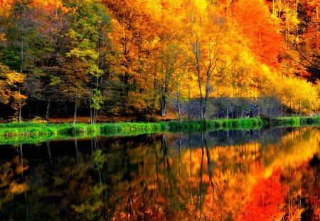 Autumn Colors - pretty, sunny, alley, autumn colors, splendor, landscape, grass, reflection, walk, leaves, path, view, autumn splendor, lake, pathway, trees, water, beautiful, beauty, colors, lovely, tree, colorful, nature, green, autumn, autumn leaves, sunny autumn, peaceful