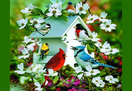 Bird's House - nice, house, cute, birds