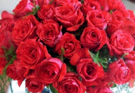 * Red roses * - flowers, roses, beautiful, red roses, petals, bouquet