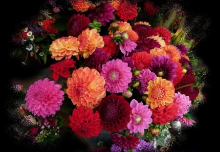 Beautiful - flowers, colors, dahlia, beautiful