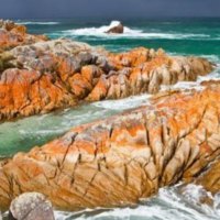 "Rocky Coastline"