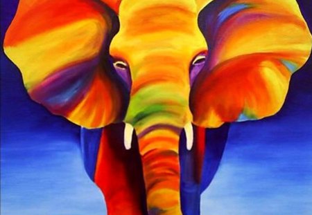 El�phant Multicolore