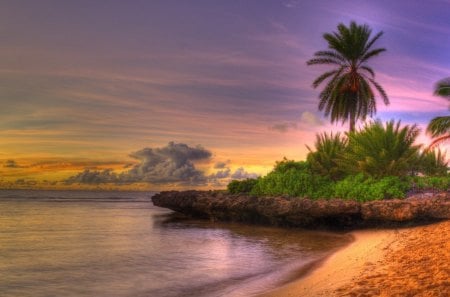 Beautiful scenery - sky, plants, palm tree, landscape, coast, sands, bay, nature