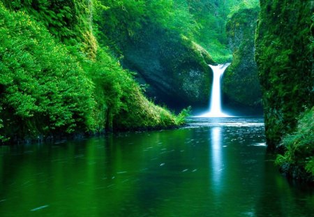 Beautiful waterfalls - nature, landscape, greenys, water, waterfalls, tree