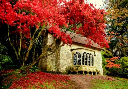 Old cottage - nice, cottage, autumn, trees, peaceful, colorful, path, foliage, calm, pretty, house, old, park, lovely, nature, forest, red, beautiful, leaves, cabin