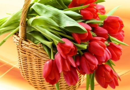 Flowers from a stranger - nice, freshness, gift, delicate, tulips, bouquet, basket, unknown, pretty, harmony, fresh, stranger, lovely, red, beautiful, bunch, flowers