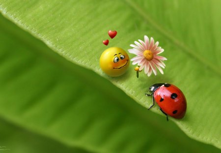 Smiley in love - lady bug, love, flower, smiley, sweet