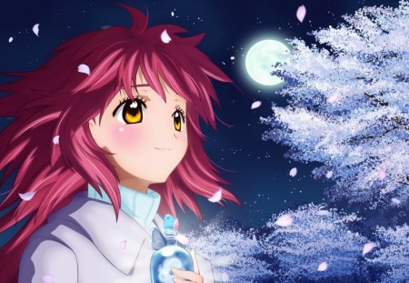 Spring night - moon, sky, girl, bloom, night, red hair, spring, star, pink, blue, anime, flower, manga