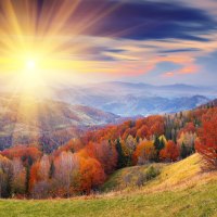Magical nature