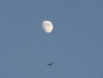 Fly Me To The Moon