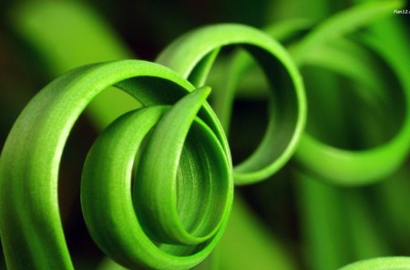 Green Hoops... - forest, leaf, nature, hoops, wood, green