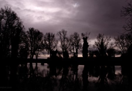 Evening Pond - sky, trees, dramatic, water, storm, still, reflections, purple, evening, clouds, tree, pond