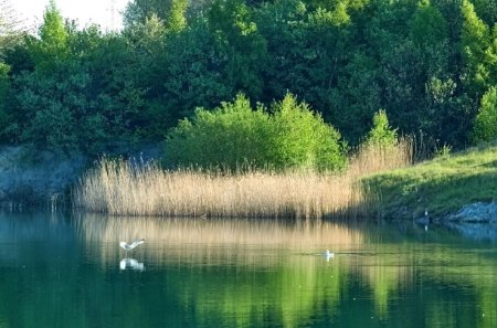 clear river - crystal, clear