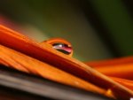 Closeup of a Waterdrop