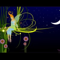 Moon Night Fairy