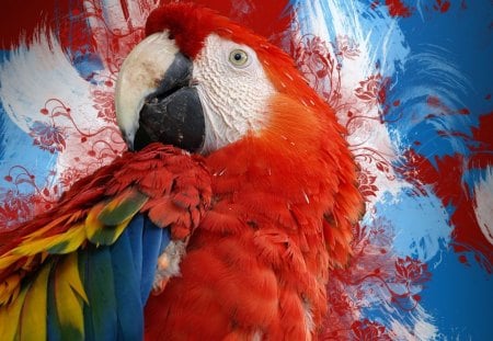 *** Red Parrot *** - red, animals, birds, parrot