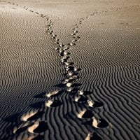 footsteps in the sand