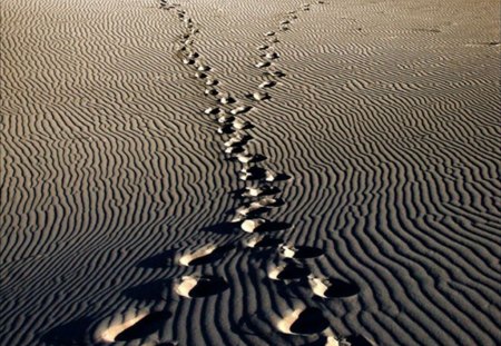 footsteps in the sand - sense, meaning, collage, sand, footsteps