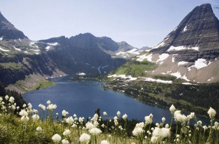 What A Lovely Sight - national, nature, glacier, beautiful, park